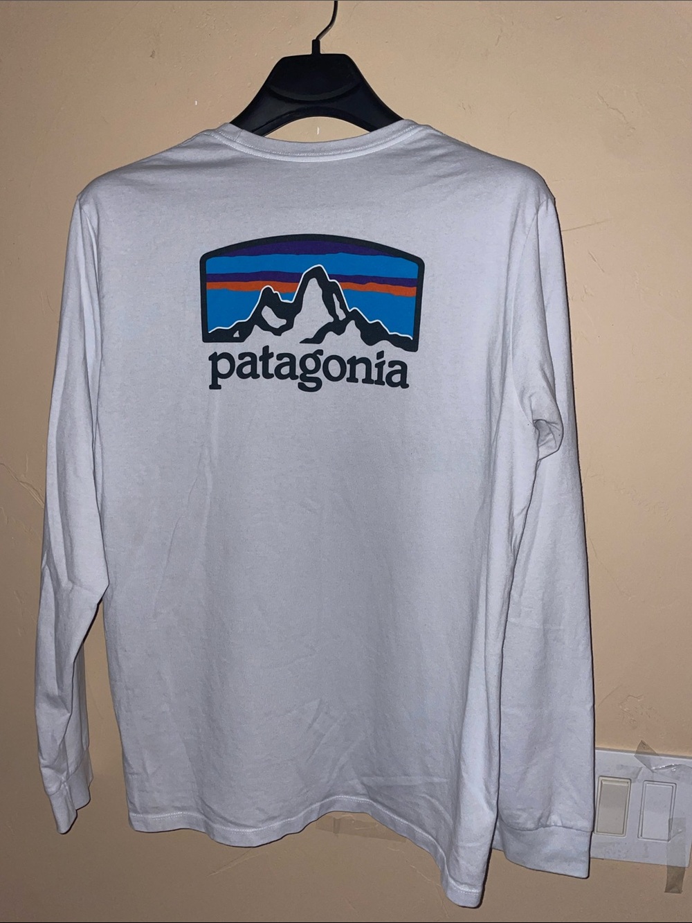 Patagonia Light Grey Long Sleeve Tee with Blue Purple Orange Mountain Logo